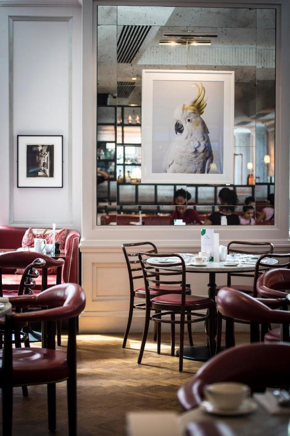 ザ メリルボーン ホテル ロンドン エクステリア 写真 Interior of the restaurant